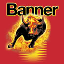Autobaterie Banner Starting Bull 530 30, 30Ah, 12V 300A ( 53030 )