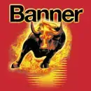 BANNER Energy Bull 12V/230Ah, 968 01